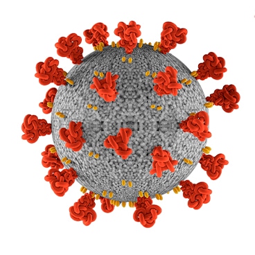 3D image of the coronavirus COVID-19